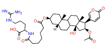 3-(N-Pimeloyl argininyl)-bufotalin